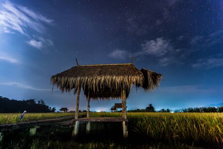 A star on clear sky in front of hut in green filed rice at night time located north of Thailandの写真素材