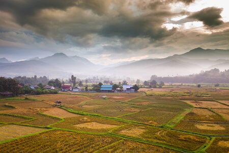Rice terrace in front of mountain at sunrise timing located at north of Thailand