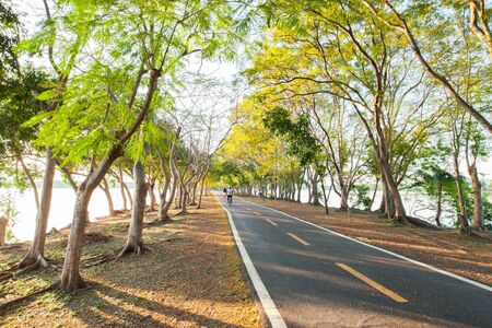 Empthy running lanes of road in park between tree at sunset timing location at Bangkok Thailandの写真素材