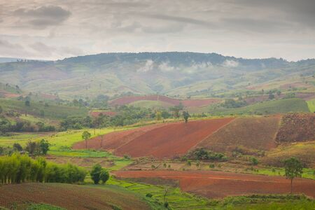 Soil terrace under preparation for agriculture in front of mountain under clear sky located at north of Thailandの写真素材