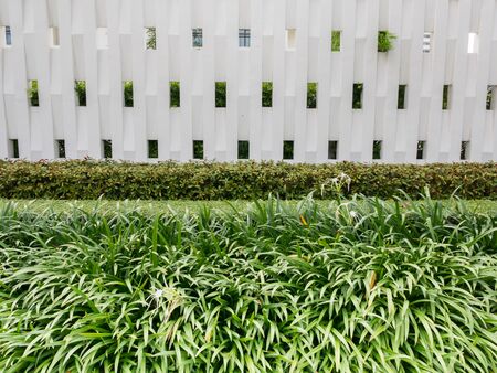 White color tone wall and green grass of contemporary building colonial stylish decoratedの写真素材