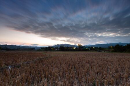 Green terrace of agriculture corn in front of mountain under cloudy sky at sunset timing located at north of Thailandの写真素材
