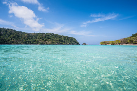 White sand beach under clear sky at tropicanaの写真素材