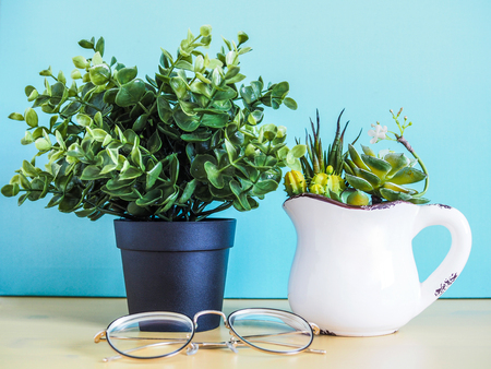 Trees decorated with houseplant in pots Plants for home decorationの写真素材