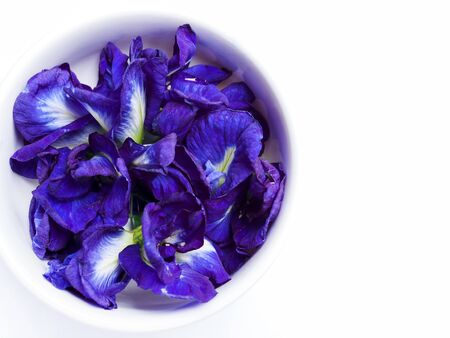 plant in nature is herb with butterfly pea isolated on white background.の写真素材