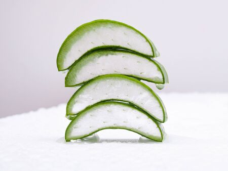 Aloe vera leaves Plants for beauty Skin, hair, or juice benefits as medicine.の写真素材