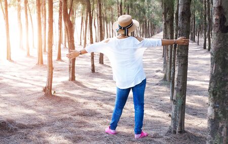 Asian women travel and relax in pine grove. concept of traveling and living happily with middle-aged people.の写真素材