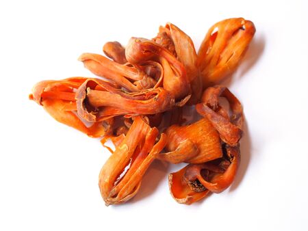 Herbs and spices with nutmeg dried flower (Mace) myristica fragrans, isolated on white background.の写真素材