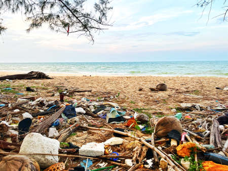 Pollution of the beach. Pollution of nature. Garbage on the beach.