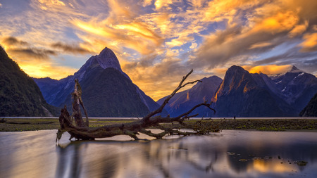 Milford Sound in Twilightの写真素材