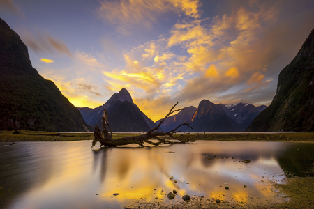 Milford Sound in Twilightの写真素材