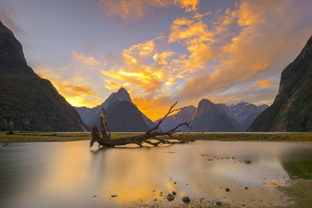 Milford Sound in Twilightの写真素材