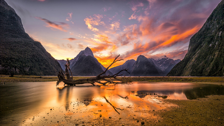 Milford Sound in Twilightの写真素材