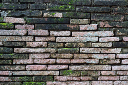 Mossy brick wall, Mossy brick background