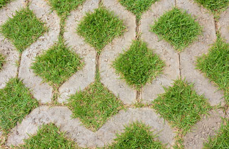wall texture wall background