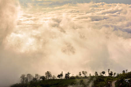 Morning mist and cloud that covered the entire movement .の写真素材