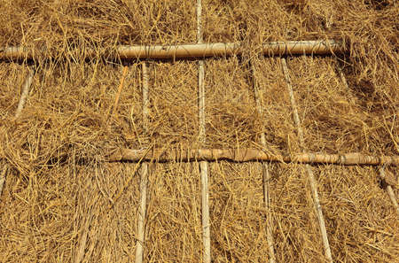 rice straw