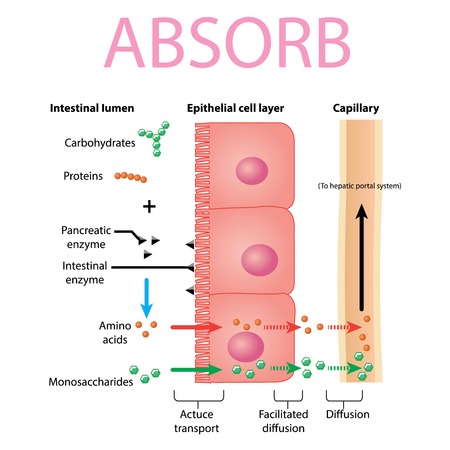 Absprbのイラスト素材