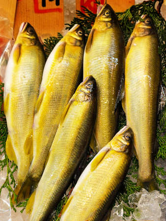 Japanese ayu (sweetfish) on sale