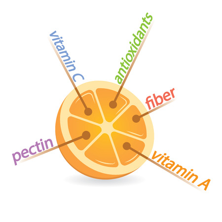 Orange Content Properties and Benefitsのイラスト素材
