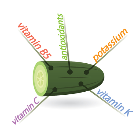 Cucumber Content Properties and Benefitsのイラスト素材