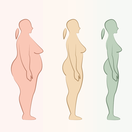 Fat to Skinny Female Silhouettesのイラスト素材
