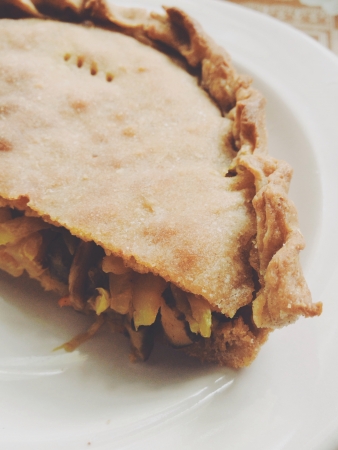 A piece of vegetables pie in traditional north Russian style on light backgroundの素材
