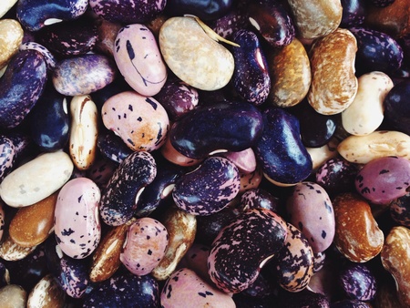 Bunch of colored beans like jewels