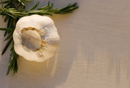 Garlic Bulb with rosemary herb  some space for textの写真素材