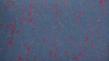 abstract background: red and blue paint on the surface of the fabricの素材