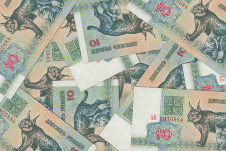 Currency from Belarus, Belarusian banknotes. Close up money from Belarus. Belarusian ruble.3D renderの写真素材
