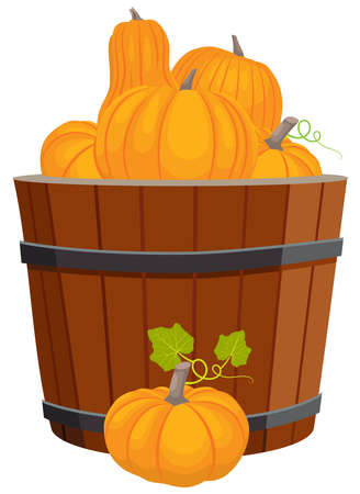 Autumn vegetable graphic vector illustration, isolated on white background.のイラスト素材