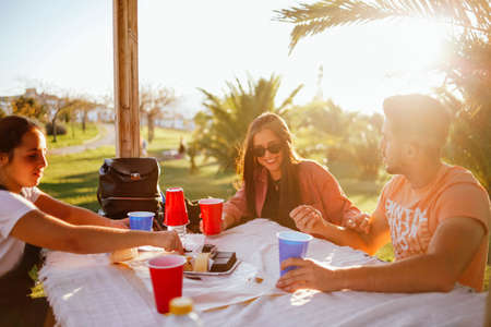 group of friends toasting at a table in nature. Group of friends in a picnic areaの写真素材