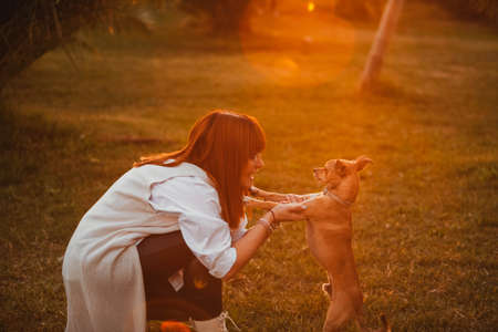 red-haired woman with her dog in the park. woman with her pet in nature