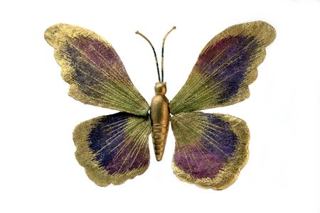 Butterfly of gold green and purple on white backgroundの写真素材