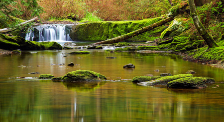 A small cascade along Whatcom creek in Bellingham, WA with calm water
