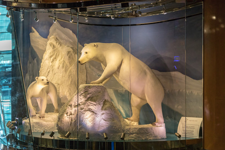 Jean Philippe Patisserie team  display of polar bears made entirely out of chocolate in the Aria Resort & Casino in Las Vegas, Nevada, USAのeditorial素材