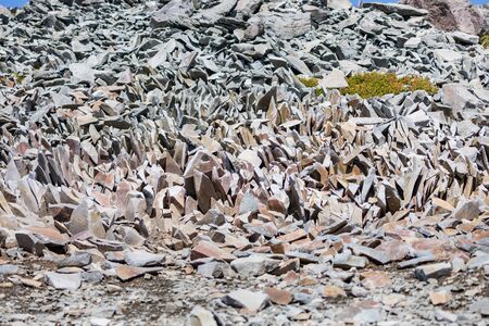 A pile of unusual rocks at Mt. Rainier National Park in Washington state near Paradise