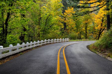 A winding road along the Columbia River Scenic Byway with the classic white fencing in Oregon, USA