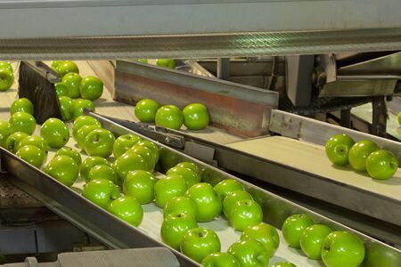 Fresh, green Granny Smith apples in a fruit packaging warehouseの写真素材