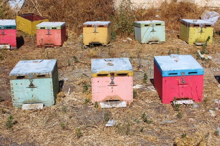 Beehives on the Greek island of Creteの写真素材