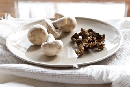 Fresh and dried Mushrooms の写真素材