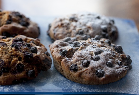 Home-made Cupcakes with powdered sugar の写真素材