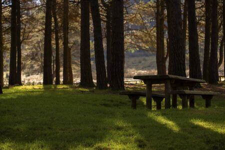 Picnic bench in a public parkの写真素材