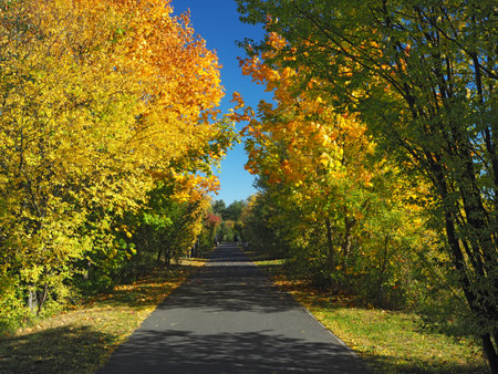 city park in autumn (Park Szachty in Poznan, Poland)の写真素材