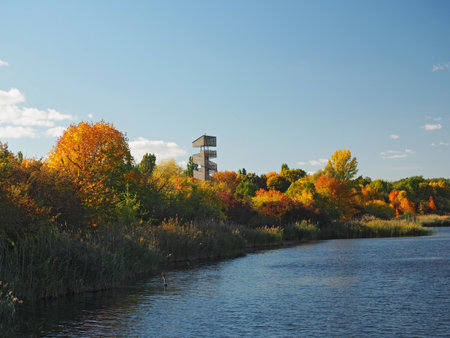 city park in autumn (Park Szachty in Poznan, Poland)の写真素材
