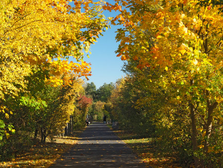 city park in autumn (Park Szachty in Poznan, Poland)の写真素材