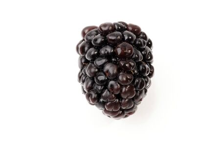 isolated blackberryの写真素材
