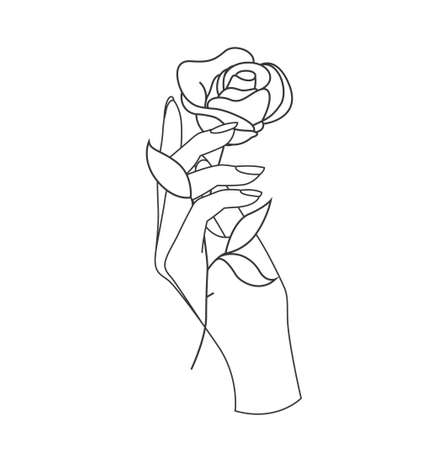 Beautiful woman hand holding flower of rose isolated on white background. Minimalistic outlined vector illustration for logo or emblem or icon.のイラスト素材