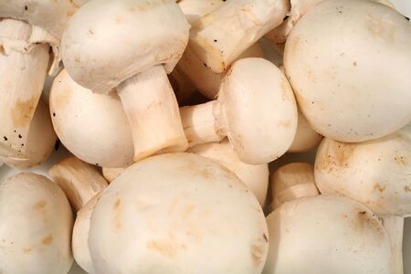 Fresh button mushrooms.の写真素材
